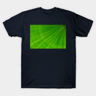 Palm frond T-Shirt